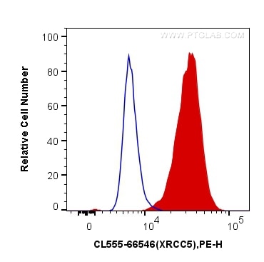 Flow cytometry (FC) experiment of HeLa cells using CoraLite®555-conjugated XRCC5 Monoclonal antibody (CL555-66546)
