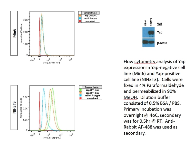 FC experiment of NIH3T3 cells using 13584-1-AP