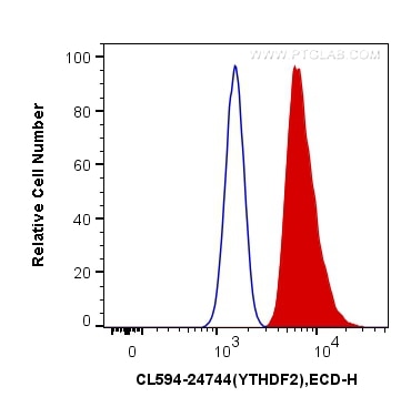 Flow cytometry (FC) experiment of HeLa cells using CoraLite®594-conjugated YTHDF2 Polyclonal antibody (CL594-24744)