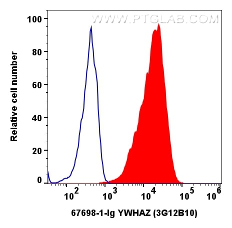 Flow cytometry (FC) experiment of A549 cells using YWHAZ Monoclonal antibody (67698-1-Ig)