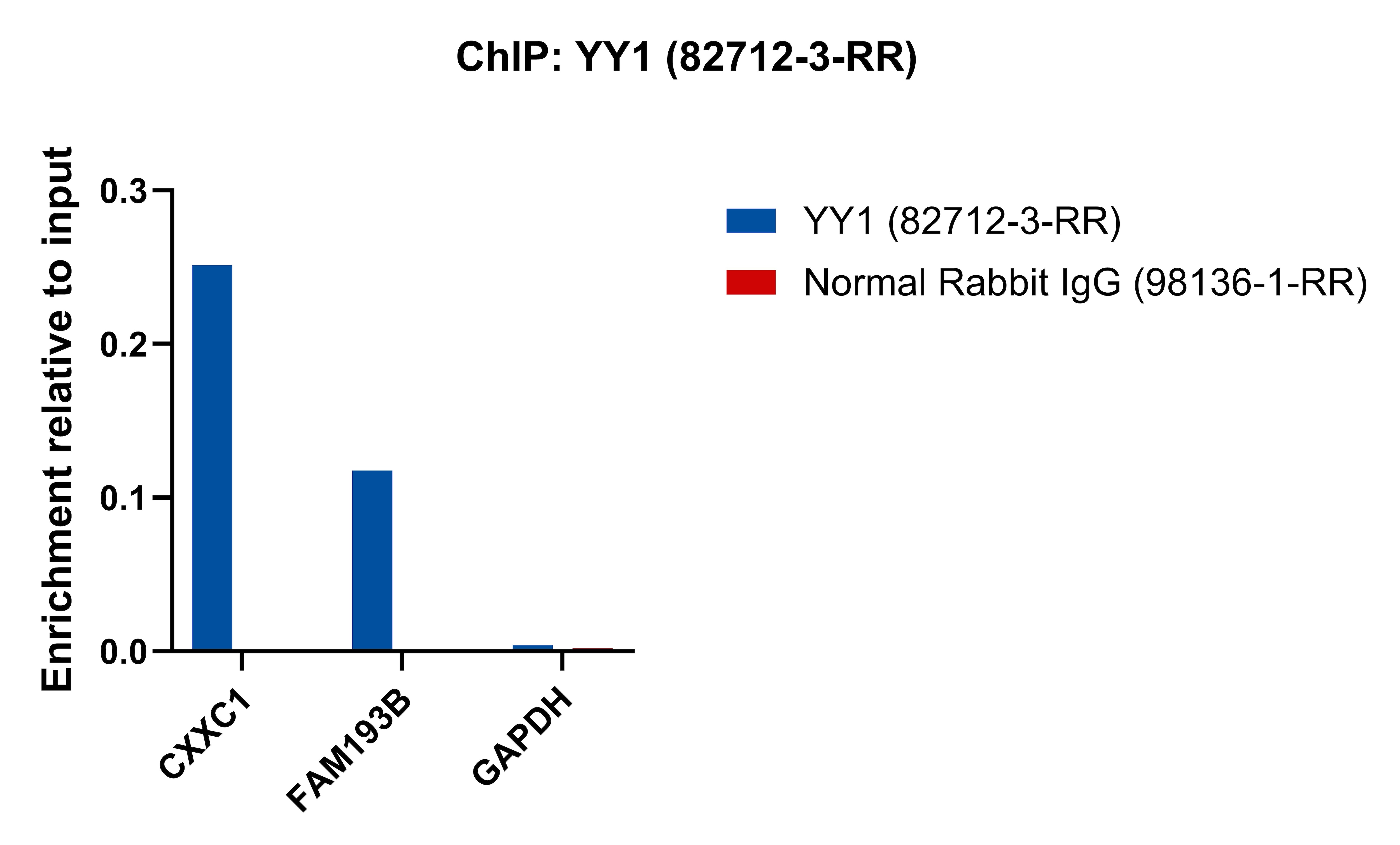 ChIP experiment of K-562 cells using YY1 Recombinant antibody (82712-3-RR)