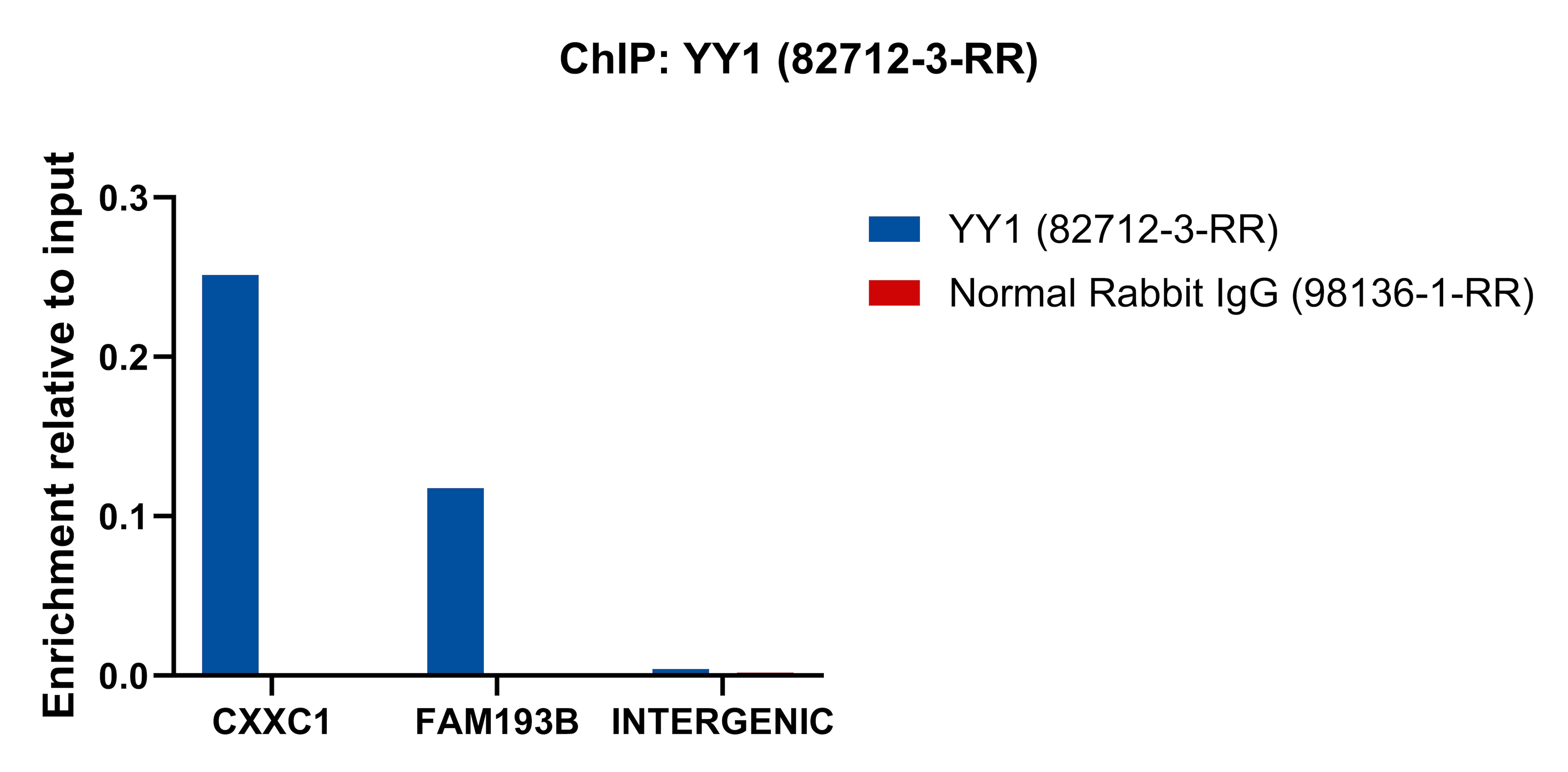 ChIP experiment of K-562 cells using YY1 Recombinant antibody (82712-3-RR)