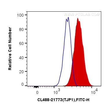 Flow cytometry (FC) experiment of MCF-7 cells using CoraLite® Plus 488-conjugated ZO-1 Polyclonal anti (CL488-21773)