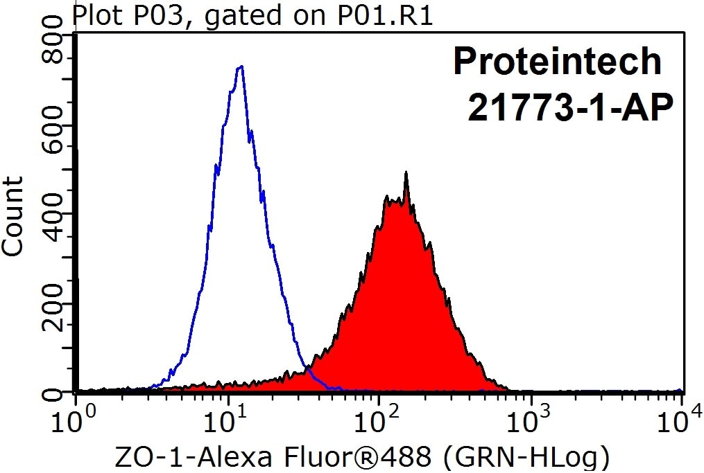 Flow cytometry (FC) experiment of MCF-7 cells using ZO-1 Polyclonal antibody (21773-1-AP)