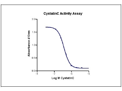 The activity of Cystatin C was measured by the dose-dependent inhibition of Papain protease activity by colorimetric assay using L-BAPA as the substrate.