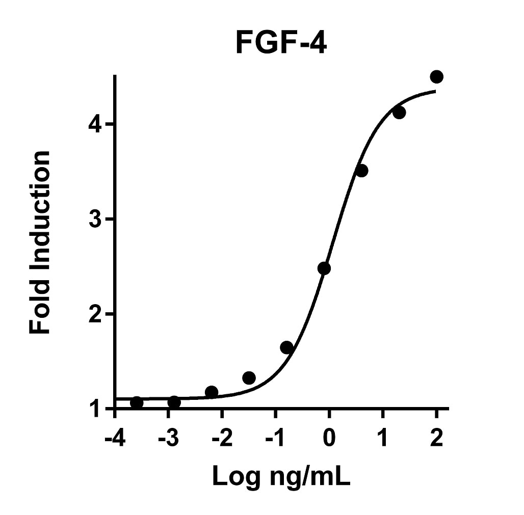 The activity was determined by the dose-dependent stimulation of the proliferation of the Balb/3T3 cell line using the Promega CellTiter96® Aqueous Non-Radioactive Cell Proliferation Assay.