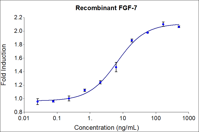 Recombinant human FGF-7 (HZ-1100) Stimulates dose-dependent proliferation of the 4MBr-5 Monkey epithelial cell line. Viable cell number was quantitatively assessed by PrestoBlue Cell Viability Reagent. 4MBr-5 ells were treated with increasing concentrations of recombinant human FGF-7 for 120 hours. The EC50 was determined using a 4- parameter non-linear regression model. The EC50 values range from 4-20 ng/mL.

