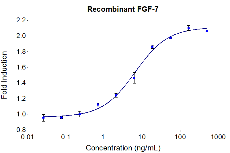 Recombinant human FGF-7 (HZ-1100) Stimulates dose-dependent proliferation of the 4MBr-5 Monkey epithelial cell line. Viable cell number was quantitatively assessed by PrestoBlue Cell Viability Reagent. 4MBr-5 ells were treated with increasing concentrations of recombinant human FGF-7 for 120 hours. The EC50 was determined using a 4- parameter non-linear regression model. The EC50 values range from 4-20 ng/mL.

