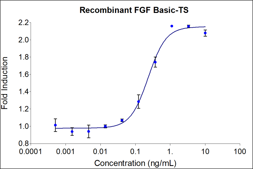 Recombinant human FGFbasic-TS (HZ-1285) stimulates dose-dependent proliferation of the HDFa human primary fibroblast cell line. Cell number was quantitatively assessed by Promega CellTiter 96® cell viability reagent. HDFa cells were treated with increasing concentrations of recombinant FGFbasic-TS for 48 hours. The EC50 was determined using a 4-parameter non-linear regression model. The EC50 range is 0.05-0.4 ng/mL.