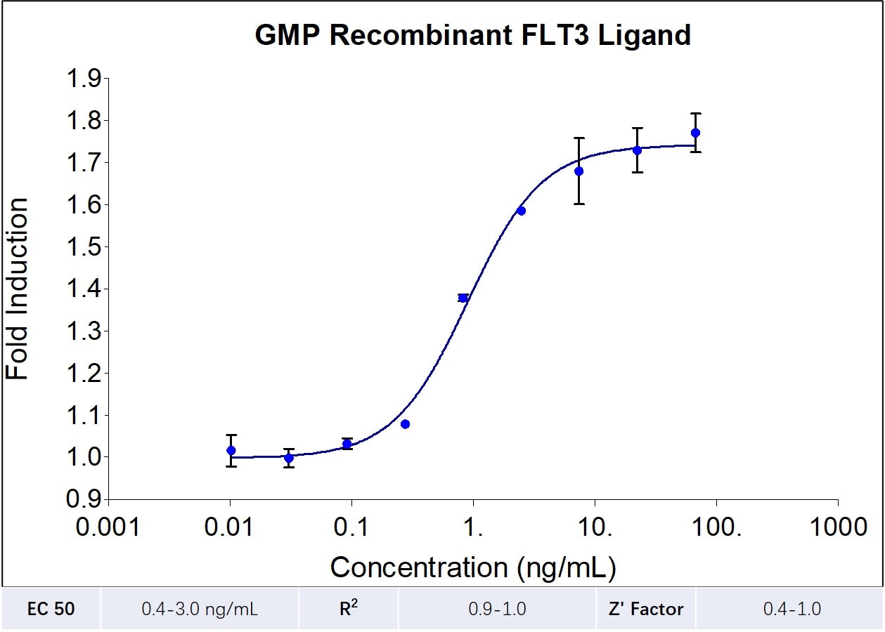 GMP-grade recombinant human FLT3 Ligand (HZ-1151-GMP) stimulates dose-dependent proliferation of the human acute myeloid leukemia cell line (OCI-AML5). Viable cell number was quantitiatively assessed by PrestoBlue Cell Viability Reagent. OCI-AML5 cells were treated with increasing concentrations of recombinant human FLT3 Ligand for 72 hours.The EC50 was determined using a 4- parameter non-linear regression model. Activity determination was conducted in triplicate on a validated bioassay. The EC50 value ranges from 0.4-3.0 ng/mL.