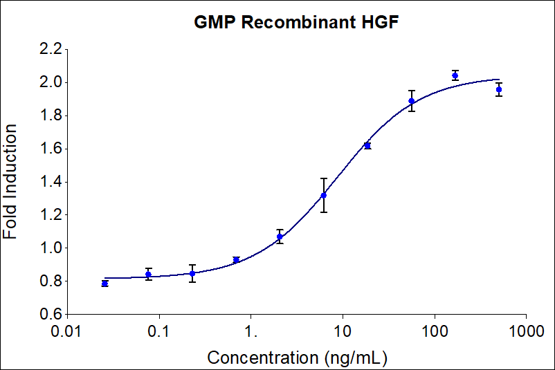GMP-grade recombinant human HGF (HZ-1084-GMP) stimulates dose-dependent proliferation of the 4MBr-5 Monkey epithelial cell line. Viable cell number was quantitiatively assessed by PrestoBlue Cell Viability Reagent. 4MBr-5 cells were treated with increasing concentrations of recombinant human HGF for 120 hours. The EC50 was determined using a 4- parameter non-linear regression model. Activity determination was conducted in triplicate on a validated bioassay. The EC50 value ranges from 5-25 ng/mL.

