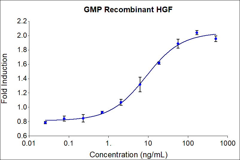 GMP-grade recombinant human HGF (HZ-1084-GMP) stimulates dose-dependent proliferation of the 4MBr-5 Monkey epithelial cell line. Viable cell number was quantitiatively assessed by PrestoBlue Cell Viability Reagent. 4MBr-5 cells were treated with increasing concentrations of recombinant human HGF for 120 hours. The EC50 was determined using a 4- parameter non-linear regression model. Activity determination was conducted in triplicate on a validated bioassay. The EC50 value ranges from 5-25 ng/mL.

