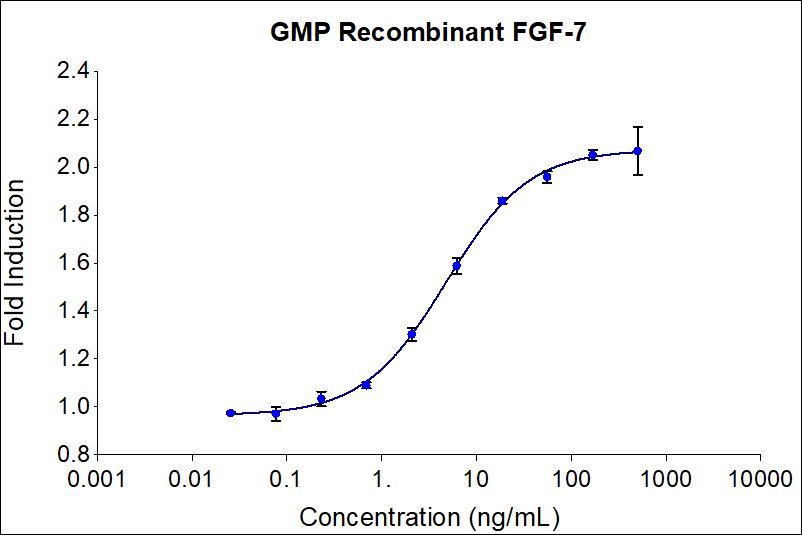 GMP-grade recombinant human FGF-7  (HZ-1100-GMP) Stimulates dose-dependent proliferation of the 4MBr-5 Monkey epithelial cell line. Viable cell number was quantitatively assessed by PrestoBlue Cell Viability Reagent. 4MBr-5 ells were treated with increasing concentrations of recombinant human FGF-7 for 120 hours. The EC50 was determined using a 4- parameter non-linear regression model. Activity determination was conducted in triplicate on a validated bioassay. The EC50 values range from 4-20 ng/mL.