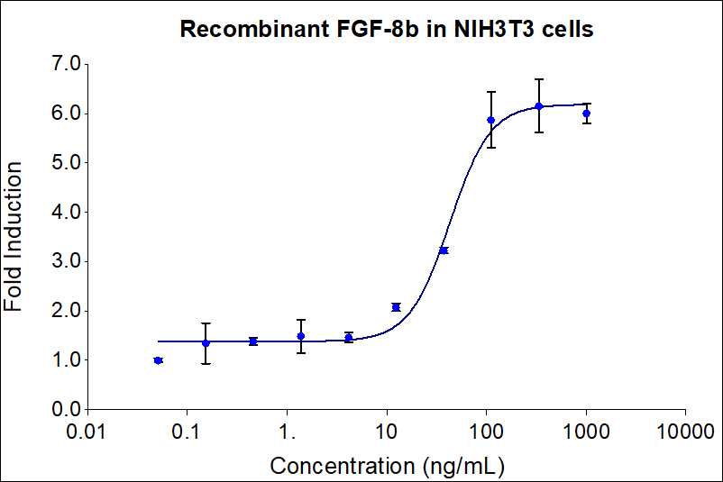 Recombinant human FGF-8b (HZ-1218) stimulates dose-dependent proliferation of the NIH/3T3 mouse fibroblast cell line. Viable cell number was quantitatively assessed by Prestoblue Cell Viability Reagent. NIH/3T3 cells were serum starved in 0.02% FBS with 1 ug/mL heparin during treatment with increasing concentrations of recombinant human FGF-8b for 72hrs. The EC50 was determined using a 4- parameter non-linear regression model. The EC50 values range from 10-60 ng/mL.

