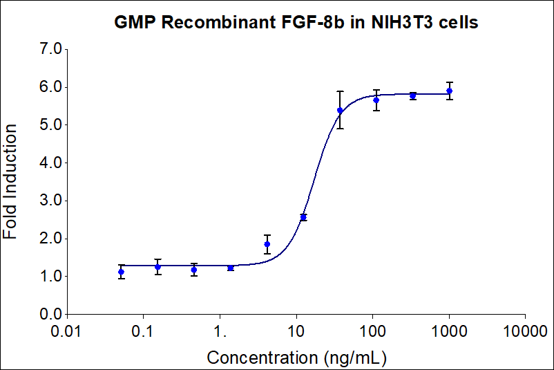 GMP Recombinant human FGF-8b (HZ-1103-GMP) stimulates dose-dependent proliferation of the NIH/3T3 mouse fibroblast cell line. Viable cell number was quantitatively assessed by Prestoblue Cell Viability Reagent. NIH/3T3 cells were serum starved in 0.02% FBS with 1 ug/mL heparin during treatment with increasing concentrations of recombinant human FGF-8b for 72hrs. Activity determination was conducted in triplicate on a validated bioassay. The EC50 was determined using a 4- parameter non-linear regression model. The EC50 values range from 10-60 ng/mL.


