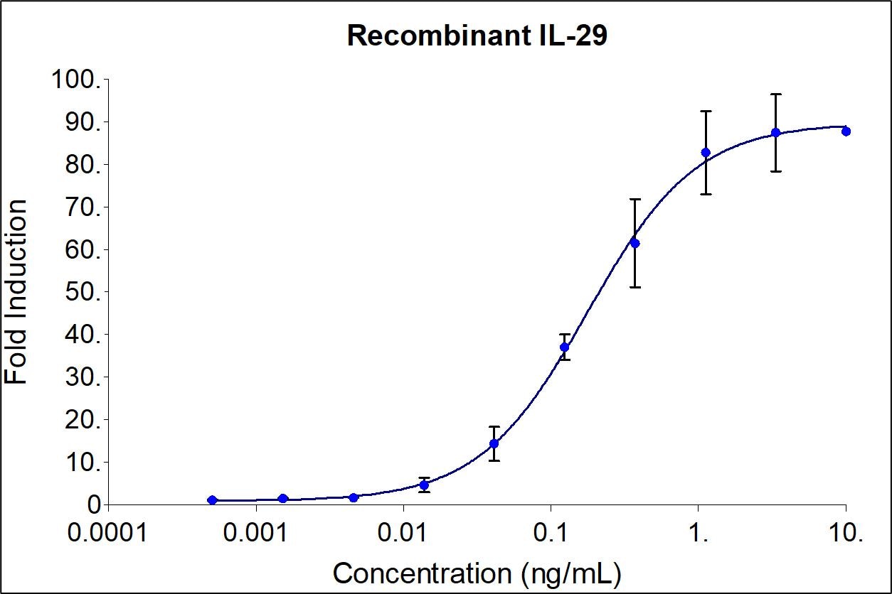 Recombinant human IL-29 (HZ-1156) stimulates dose-dependent induction of alkaline phosphatase production in a HEK293 reporter cell line. Alkaline phosphatase production was assessed using pNPP as a chromogenic substrate. The EC50 was determined using a 4-parameter non-linear regression model. The EC50 values range is 0.12-0.6 ng/mL.