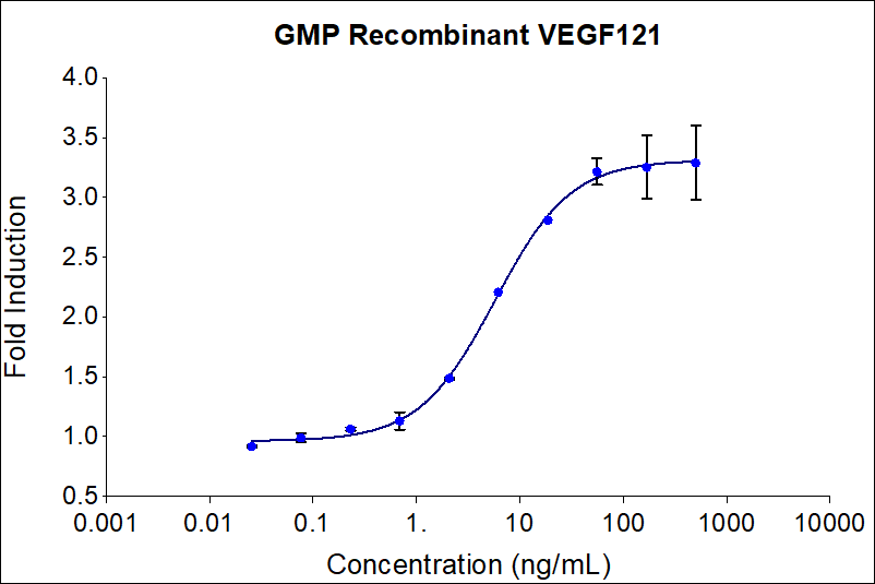 GMP Recombinant human GMP VEGF121 (HZ-1204-GMP) induces dose-dependent luciferase production in a HEK293T VEGF luciferase reporter cell line. Luciferase production was assessed by the One-Step™ luciferase assay Kit. HEK293T VEGF luciferase reporter cells were treated with increasing concentrations of GMP recombinant VEGF121 for 18 hours. The EC50 was determined using a 4-parameter non-linear regression model. Activity determination was conducted in triplicate on a validated bioassay. The EC50 range is 1.5-9 ng/mL
