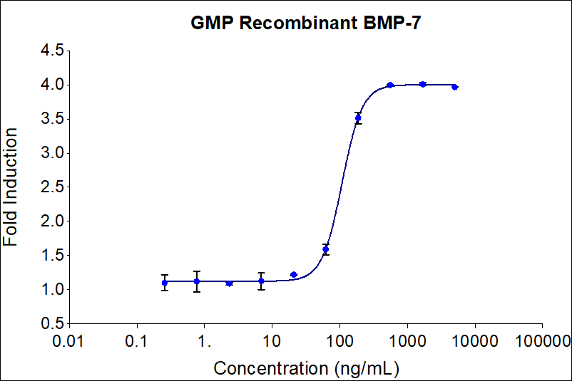 Recombinant human BMP-7(HZ-1229-GMP) stimulates dose-dependent induction of alkaline phosphatase production in the ATDC-5 mouse chondrogenic cell line. Alkaline phosphatase production was assessed using pNPP as a chromogenic substrate. ATDC-5 cells were treated with increasing concentrations of recombinant human BMP-7 for 72 hrs hours before lysis and addition of pNPP. The EC50 was determined using a 4-parameter non-linear regression model. Activity determination was conducted in triplicate on a validated bioassay. The EC50 values range from 50-275 ng/ml.

