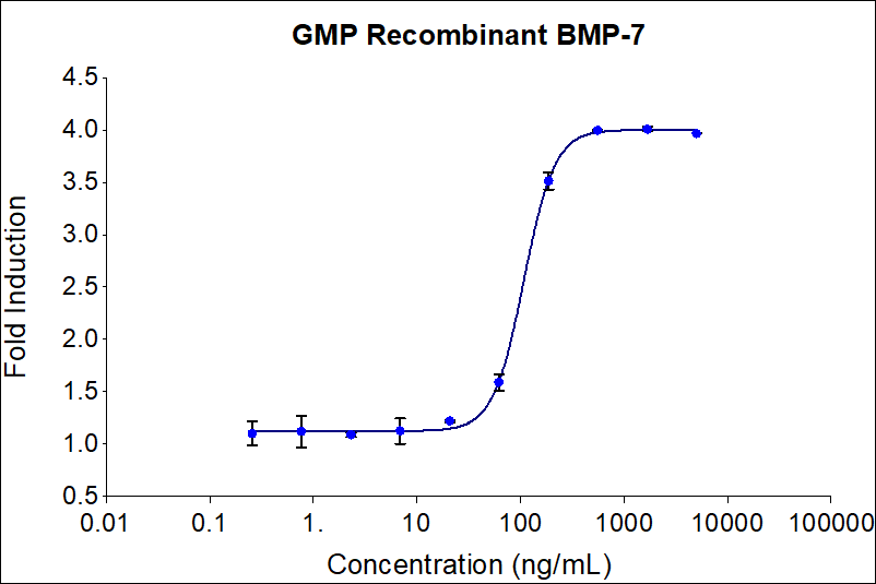 Recombinant human BMP-7(HZ-1229-GMP) stimulates dose-dependent induction of alkaline phosphatase production in the ATDC-5 mouse chondrogenic cell line. Alkaline phosphatase production was assessed using pNPP as a chromogenic substrate. ATDC-5 cells were treated with increasing concentrations of recombinant human BMP-7 for 72 hrs hours before lysis and addition of pNPP. The EC50 was determined using a 4-parameter non-linear regression model. Activity determination was conducted in triplicate on a validated bioassay. The EC50 values range from 50-275 ng/ml.

