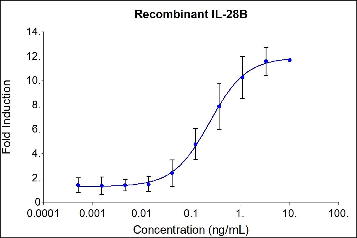 Recombinant human IL-28B (HZ-1245) stimulates dose-dependent induction of alkaline phosphatase production in a HEK293 reporter cell line. Alkaline phosphatase production was assessed using pNPP as a chromogenic substrate. The EC50 was determined using a 4-parameter non-linear regression model. The EC50 value range is  0.07-0.35 ng/mL.