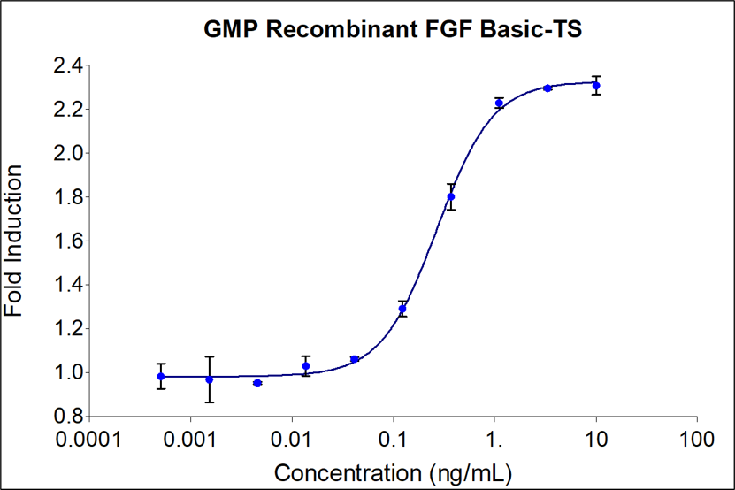 GMP Recombinant human FGFbasic-TS (HZ-1285-GMP) stimulates dose-dependent proliferation of the HDFa human primary fibroblast cell line. Cell number was quantitatively assessed by Promega CellTiter 96® cell viability reagent. HDFa cells were treated with increasing concentrations of GMP recombinant FGFbasic-TS for 48  hours. The EC50 was determined using a 4-parameter non-linear regression model. Activity determination was conducted in triplicate on a validated bioassay. The EC50 range is 0.05-0.4 ng/mL.
