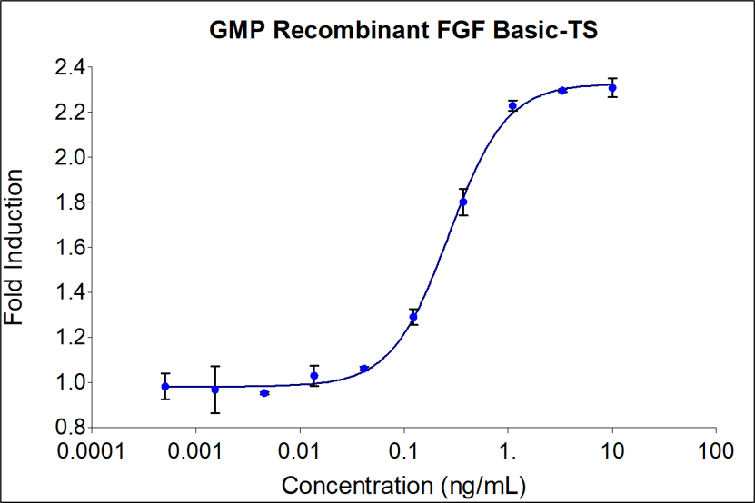 GMP Recombinant human FGFbasic-TS (HZ-1285-GMP) stimulates dose-dependent proliferation of the HDFa human primary fibroblast cell line. Cell number was quantitatively assessed by Promega CellTiter 96® cell viability reagent. HDFa cells were treated with increasing concentrations of GMP recombinant FGFbasic-TS for 48  hours. The EC50 was determined using a 4-parameter non-linear regression model. Activity determination was conducted in triplicate on a validated bioassay. The EC50 range is 0.05-0.4 ng/mL.
