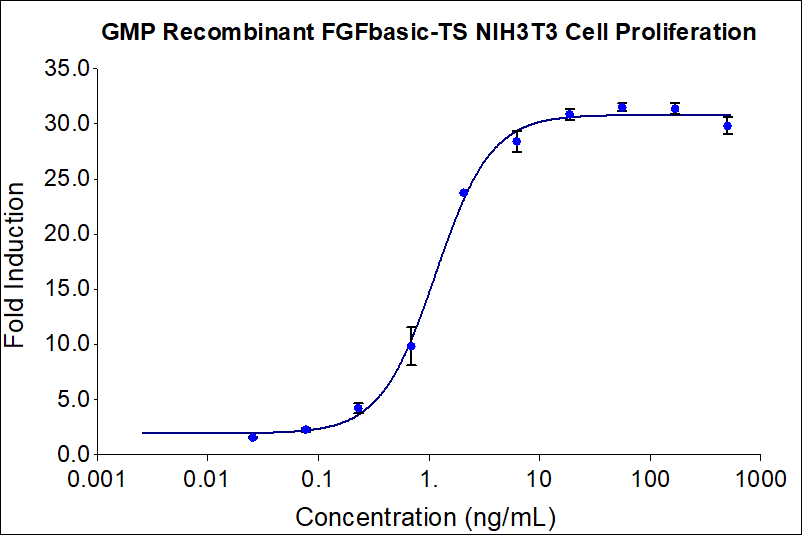 GMP-grade Recombinant human FGFbasic-TS (HZ-1285-GMP) stimulates dose-dependent proliferation of the NIH/3T3 mouse fibroblast cell line. Viable cell number was quantitatively assessed by Prestoblue Cell Viability Reagent. NIH/3T3 cells were serum starved with 0.02% FBS during treatment with increasing concentrations of recombinant human FGF basic-TS for 72hrs in defined medium. Activity determination was conducted in triplicate on a validated bioassay. The EC50 was determined using a 4- parameter non-linear regression model. The EC50 values range from 0.4-2.5 ng/mL.