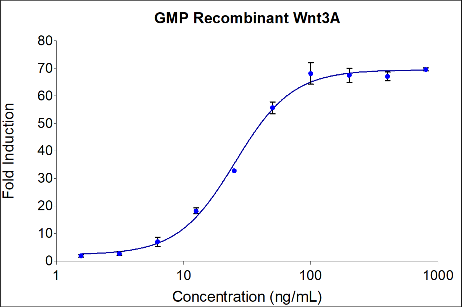 GMP Recombinant human GMP Wnt3A (HZ-1296-GMP) induces dose-dependent luciferase production in a HEK293 TCF/LEF reporter cell line. Luciferase assay production was assessed by One-Step™ luciferase assay Kit. HEK293 TCF/LEF reporter cells were treated with increasing concentrations of GMP recombinant Wnt3A for 6 hours. The EC50 was determined using a 4-parameter non-linear regression model. Activity determination was conducted in triplicate on a validated bioassay.  The EC50 range is 25-500 ng/mL