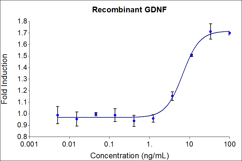 GDNF stimulates dose-dependent proliferation of the SH-SY5Y Neuroblastoma cell line. SH-SY5Y cells were treated with increasing concentrations of recombinant GDNF for 72 hours in the presence of 100 ng/mL GFR alpha-1. Viable cell number was quantitatively assessed by PrestoBlue® Cell Viability Reagent. The EC50 was determined using a 4-parameter non-linear regression model. The EC50 range is < 10 ng/mL.