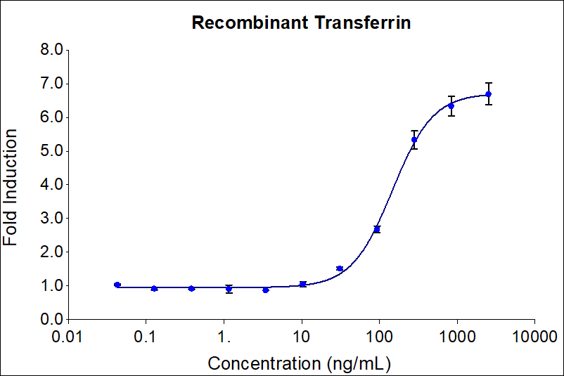 Recombinant human Transferrin (Cat no: HZ-1317) stimulates dose-dependent proliferation of the OKT4 mouse hybridoma cell line. Cell number was quantitatively assessed by Prestoblue® Cell Viability Reagent. OKT4 cells were treated with increasing concentrations of recombinant Transferrin for 72 hours. The EC50 was determined using a 4-parameter non-linear regression model. The EC50 range is 75-400 ng/mL.

