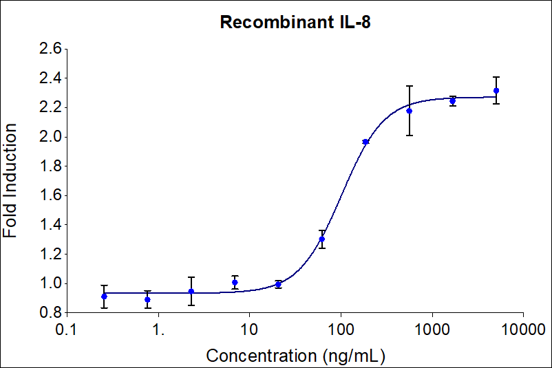 Recombinant human IL-8 (HZ-1318) stimulates dose-dependent proliferation of the THP-1 human monocyte cell line. Cell number was quantitatively assessed by PrestoBlue® Cell Viability Reagent. THP-1 cells were treated with increasing concentrations of recombinant IL-8 for 144 hours. The EC50 was determined using a 4-parameter non-linear regression model. The EC50 range is 100-500 ng/mL.

