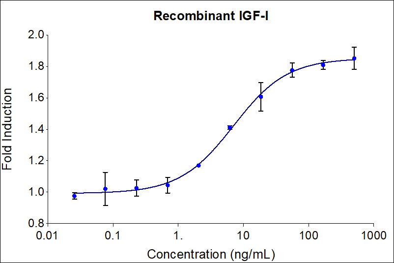 Recombinant human IGF-I (Cat no: HZ-1322) stimulates dose-dependent proliferation of the MCF-7 human breast cancer cell line. Cell number was quantitatively assessed by PrestoBlue® Cell Viability Reagent. MCF-7 cells were treated with increasing concentrations of recombinant IGF-I for 96 hours. The EC50 was determined using a 4-parameter non-linear regression model. The EC50 range is 2-14 ng/mL.