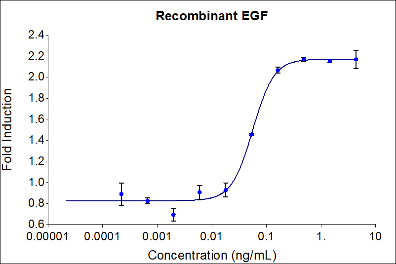 Recombinant human EGF (HZ-1326) induces dose-dependent proliferation of the 4MBr-5 (monkey epithelial) cell line. Cell number was quantitatively assessed by PrestoBlue® cell viability reagent. 4MBr-5 cells were treated with increasing concentrations of recombinant EGF for 120 hours. The EC50 was determined using a 4-parameter non-linear regression model. The EC50 range is 0.1-0.6 ng/mL.


