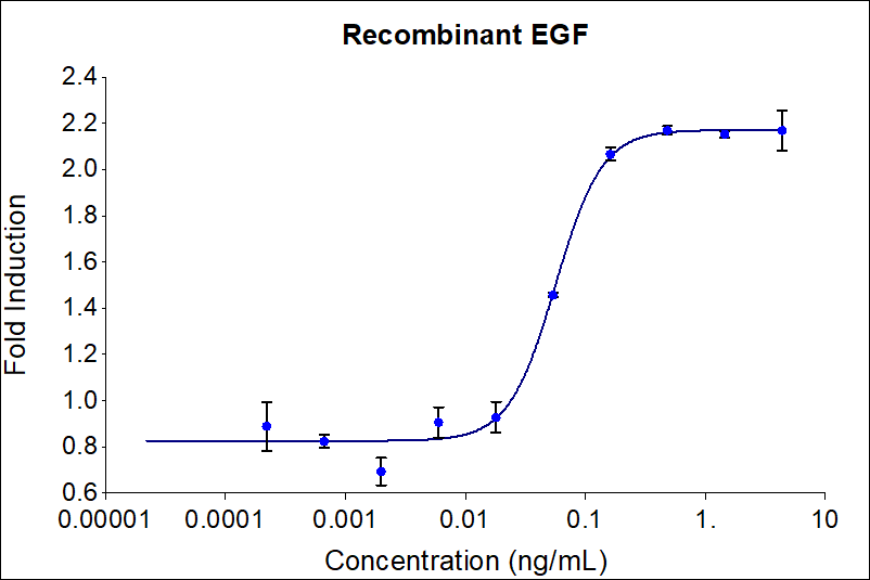 Recombinant human EGF (HZ-1326) induces dose-dependent proliferation of the 4MBr-5 (monkey epithelial) cell line. Cell number was quantitatively assessed by PrestoBlue® cell viability reagent. 4MBr-5 cells were treated with increasing concentrations of recombinant EGF for 120 hours. The EC50 was determined using a 4-parameter non-linear regression model. The EC50 range is 0.1-0.6 ng/mL.


