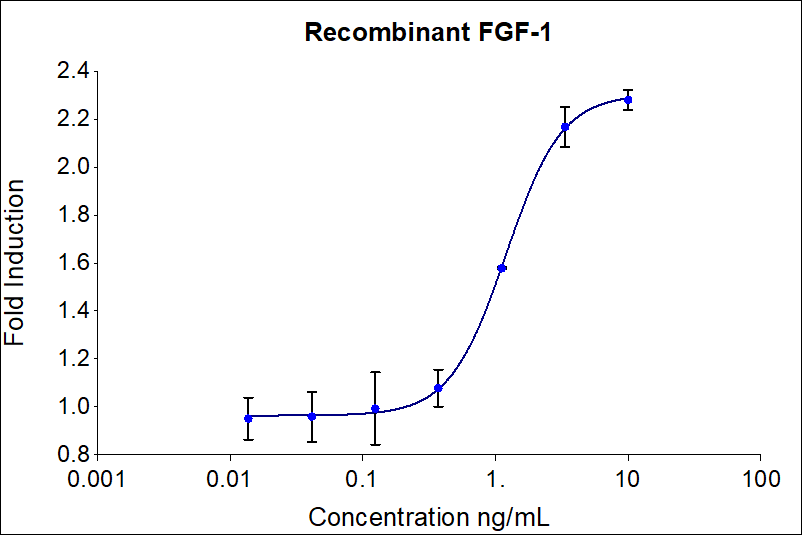 Recombinant human FGF-1 (HZ-1327) stimulates dose-dependent proliferation of the HDFa human primary fibroblast cell line. Cell number was quantitatively assessed by Promega CellTiter 96® cell viability reagent. HDFa cells were treated with increasing concentrations of recombinant FGF-1 for 48  hours. The EC50 was determined using a 4-parameter non-linear regression model. The EC50 range is 0.5-2.5 ng/mL.