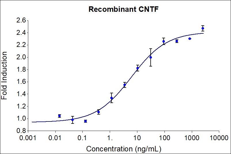 Recombinant human CNTF  (Cat no: HZ-1331) induces dose-dependent release of Heptoglobin in the HEPG2 hepatocellular carcinoma cell line in the presence of 200 ng/mL CNTFR. HEPG2 cells were treated with increasing concentration of recombinant CNTF for 16 hours before supernatant collection. The supernatant was tested for Haptoglobin via ELISA kit (KE00148). The EC50 was determined using a 4-parameter non-linear regression model. The EC50 range is 2.75-14 ng/mL.



