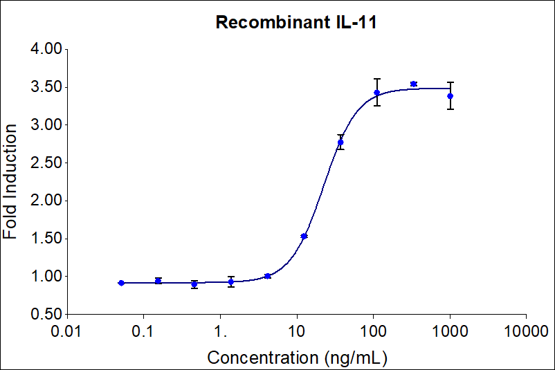 Recombinant human IL-11 (HZ-1333) stimulates dose-dependent proliferation of the THP-1 human monocyte cell line. Cell number was quantitatively assessed by PrestoBlue® Cell Viability Reagent. THP-1 cells were treated with increasing concentrations of recombinant IL-11 for 144 hours. The EC50 was determined using a 4-parameter non-linear regression model. The EC50 range is 10-50 ng/mL.