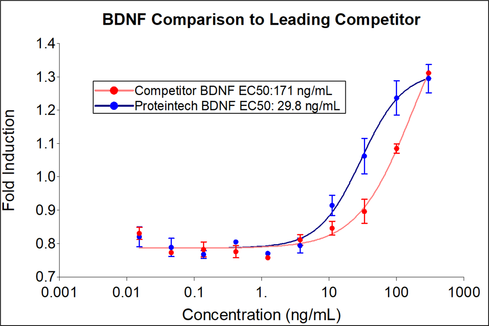 Proteintech BDNF (Cat no: HZ-1335) demonstrates equivalent fold induction and a greater than 5-fold increase in potency compared to leading competitors. BDNF stimulates dose-dependent proliferation of the SH-SY5Y Neuroblastoma cell line. SH-SY5Y cells were treated with increasing concentrations of recombinant BDNF for 72 hours after an initial 5 day incubation with 10 μM retinoic acid. Viable cell number was quantitatively assessed by PrestoBlue® Cell Viability Reagent. The EC50 was determined using a 4-parameter non-linear regression model. The EC50 range is < 100 ng/mL.
