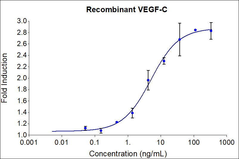Recombinant human VEGF-C  (HZ-1336) induces dose-dependent luciferase production in a HEK293T reporter cell line. Luciferase assay production was assessed by One-Step™ luciferase assay Kit. HEK293T reporter cells were treated with increasing concentrations of recombinant VEGF-C for 18 hours. The EC50 was determined using a 4-parameter non-linear regression model. The EC50 range is 2-14 ng/mL.


