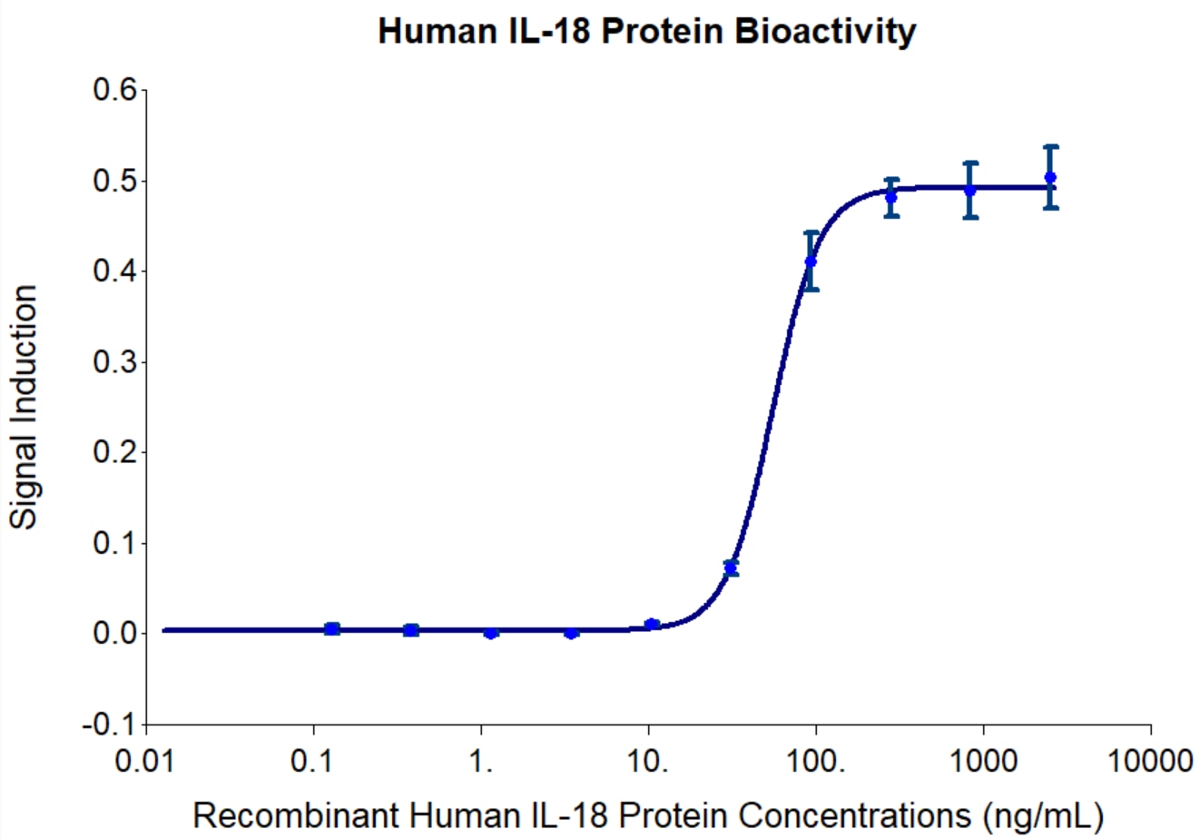Recombinant human IL-18 (Cat no: HZ-1340) induces dose-dependent release of IFN-gamma in the KG-1 human cell line. KG-1 cells were treated with increasing concentration of recombinant IL-18 for 48 hours before supernatant collection. The supernatant was tested for IFN gamma using Proteintech’s AuthentiKine™ Human IFN-gamma ELISA Kit (KE00146). The EC50 was determined using a 4-parameter non-linear regression model. The EC50 range in 20 -160 ng/mL.