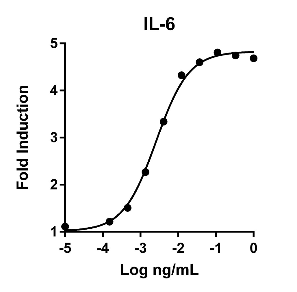 The activity was determined by the dose-dependent stimulation of the proliferation of 7TD1 cells (mouse hybridoma cell line) using CellTiter 96® AQueous One Solution Cell Proliferation Assay.