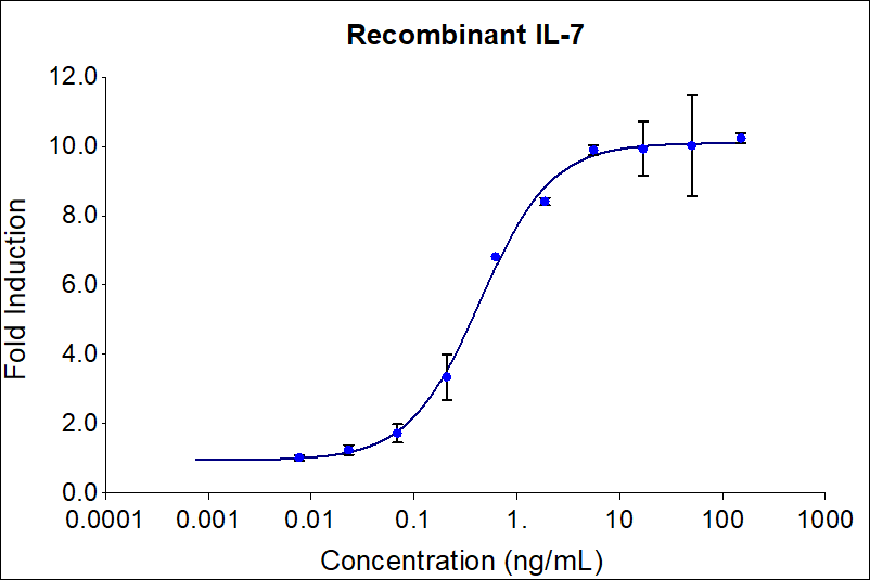 Recombinant human IL-7 (HZ-1281) stimulates dose-dependent proliferation of murine 2E8 human cell line. Cell number was quantitatively assessed by PrestoBlue® Cell Viability Reagent. 2E8 cells were treated with increasing concentrations of recombinant IL-7 for 120 hours. The EC50 was determined using a 4-parameter non-linear regression model. The EC50 range is 0.2-1.4 ng/mL.

