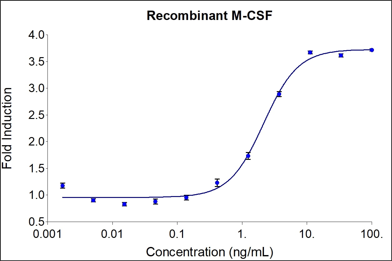 Recombinant human M-CSF (Cat no: HZ-1192) stimulates dose-dependent proliferation of the murine mouse myloid leukemia (M-NFS-60) cell line. Cell number was quantitatively assessed by Prestoblue® Cell Viability Reagent. M-NFS-60 cells were treated with increasing concentrations of recombinant M-CSF for 48 hours. The EC50 range is 0.7-4.0 ng/mL.

