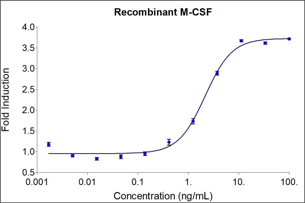 Recombinant human M-CSF (Cat no: HZ-1192) stimulates dose-dependent proliferation of the murine mouse myloid leukemia (M-NFS-60) cell line. Cell number was quantitatively assessed by Prestoblue® Cell Viability Reagent. M-NFS-60 cells were treated with increasing concentrations of recombinant M-CSF for 48 hours. The EC50 range is 0.7-4.0 ng/mL.

