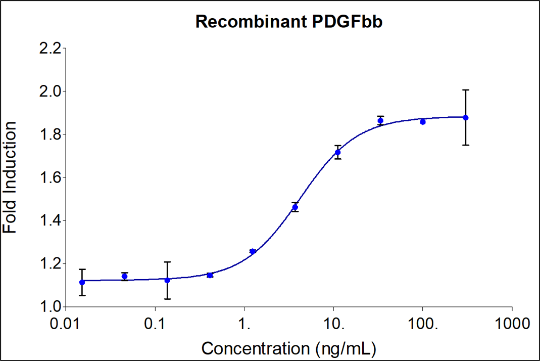 Recombinant human PDGFbb (HZ-1308) stimulates dose-dependent proliferation of the NIH/3T3 mouse fibroblast cell line. Viable cell number was quantitatively assessed by Prestoblue Cell Viability Reagent. NIH/3T3 cells were serum starved with 0.1% FBS for 24 hours before treatment with increasing concentrations of recombinant human PDGFbb for  48 hrs. The EC50 was determined using a 4- parameter non-linear regression model. The EC50 values range from 0.3-3 ng/mL.