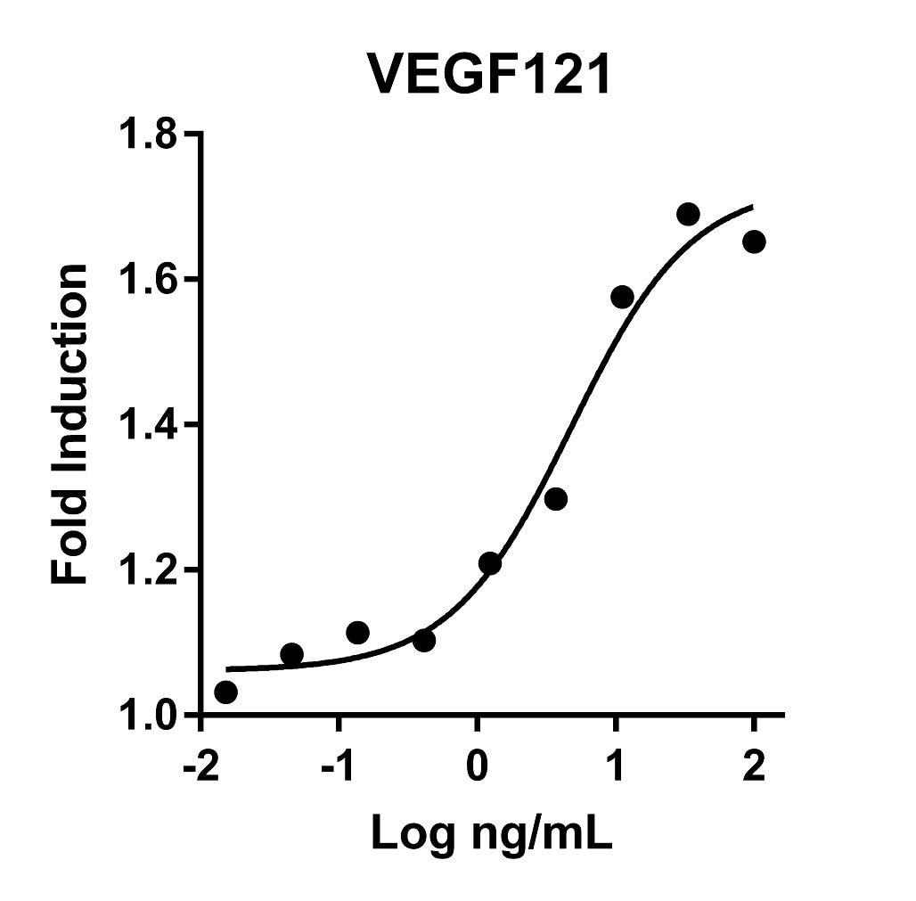 The activity was determined by the dose-dependent stimulation of the proliferation of HUVEC cells (Human Umbilical Vein Endothelial Cells) using Promega CellTiter96® Aqueous Non-Radioactive Cell Proliferation Assay.