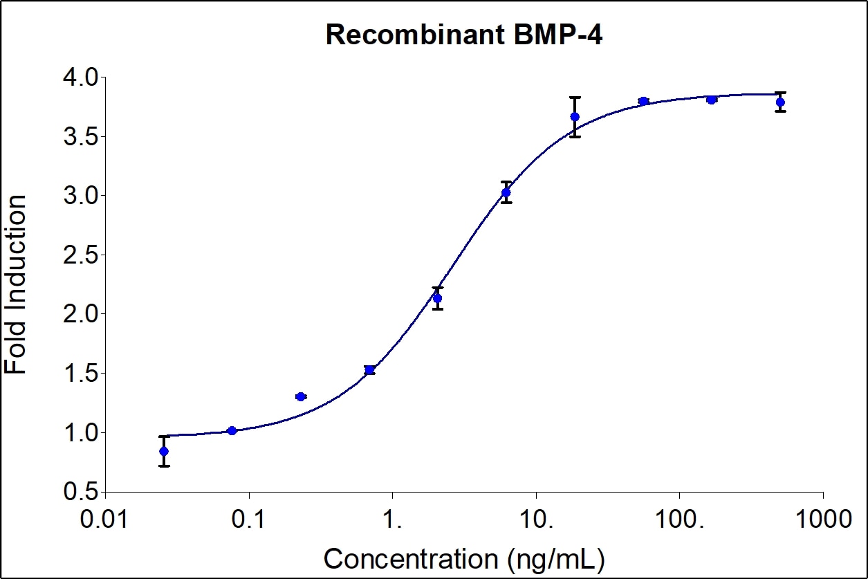 Recombinant human BMP-4 (HZ-1045) stimulates dose-dependent induction of alkaline phosphatase production in the ATDC-5 mouse chondrogenic cell line. Alkaline phosphatase production was assessed using pNPP as a chromogenic substrate. ATDC-5 cells were treated with increasing concentrations of recombinant human BMP-4 for 72 hours before lysis and addition of pNPP. The EC50 was determined using a 4-parameter non-linear regression model. The EC50 values range from 1.5-9 ng/ml.