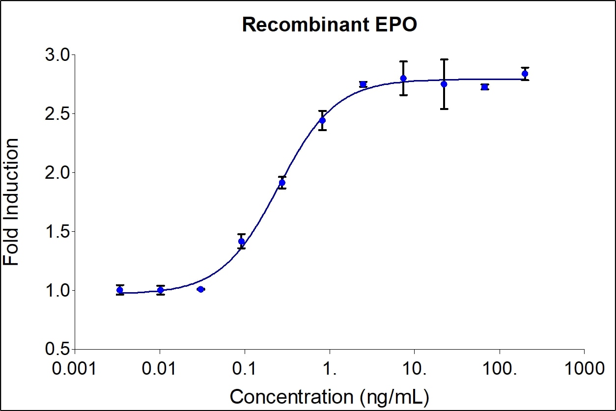 Recombinant human EPO (HZ-1168) stimulates dose-dependent proliferation of the TF-1 human erythroleukemic indicator cell line. Cell number was quantitatively assessed by PrestoBlue® Cell Viability Reagent. TF-1 cells were treated with increasing concentrations of recombinant EPO for 72 hours. The EC50 was determined using a 4-parameter non-linear regression model. The EC50 range is 0.28-1.4 ng/mL