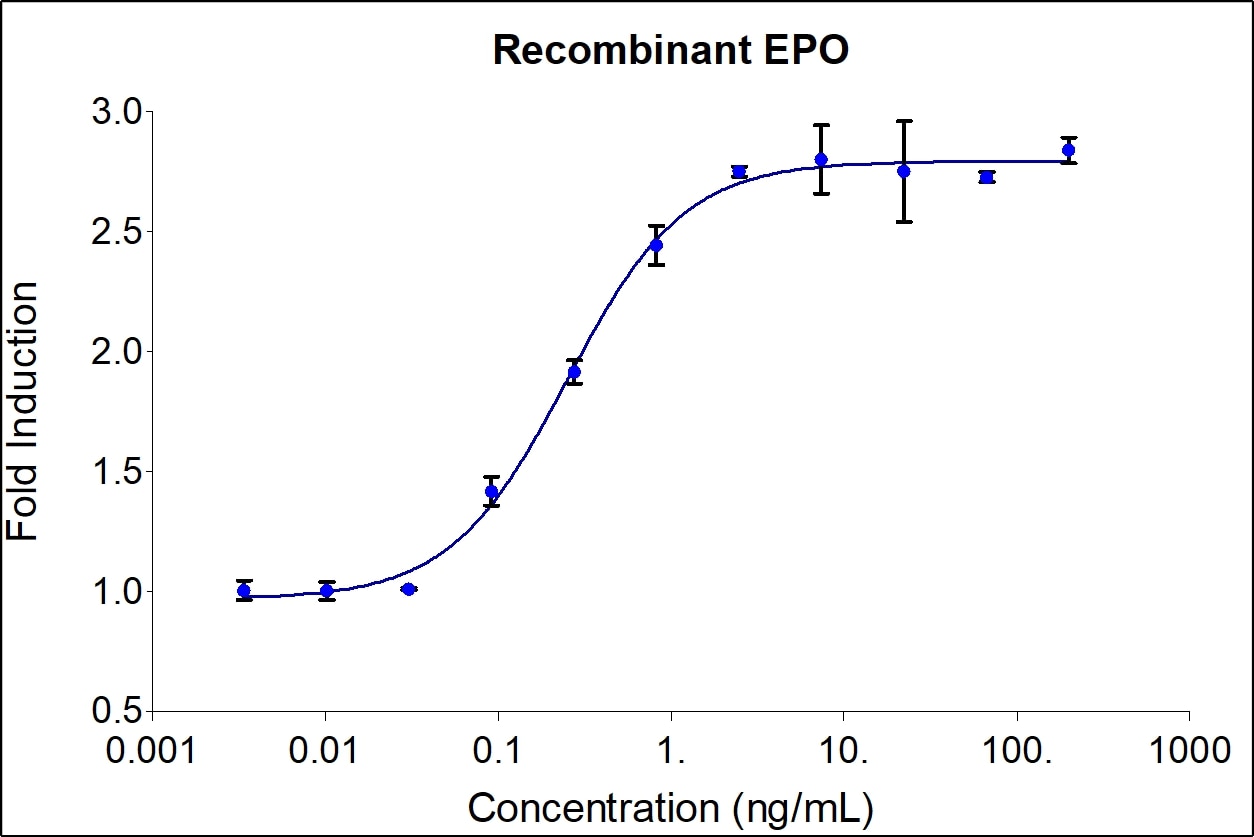 Recombinant human EPO (HZ-1168) stimulates dose-dependent proliferation of the TF-1 human erythroleukemic indicator cell line. Cell number was quantitatively assessed by PrestoBlue® Cell Viability Reagent. TF-1 cells were treated with increasing concentrations of recombinant EPO for 72 hours. The EC50 was determined using a 4-parameter non-linear regression model. The EC50 range is 0.2-3.0 ng/mL