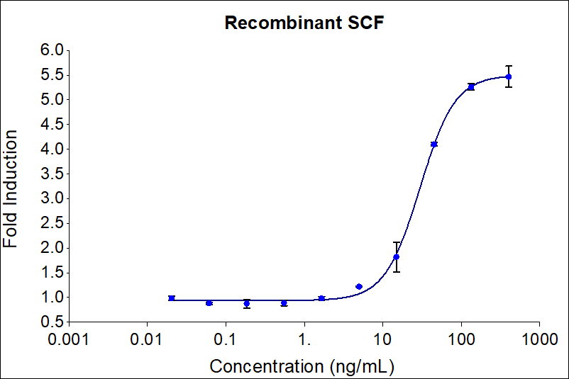 Recombinant human SCF (HZ-1024) stimulates dose-dependent proliferation of the MO7e human megakaryoblastic leukemia cell line. Cell number was quantitatively assessed by PrestoBlue® Cell Viability Reagent. MO7e cells were treated with increasing concentrations of GMP recombinant SCF for 72 hours. The EC50 was determined using a 4-parameter non-linear regression model.  The EC50 range is 15-85 ng/mL​.